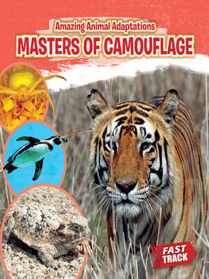 cover image of Masters of Camouflage
